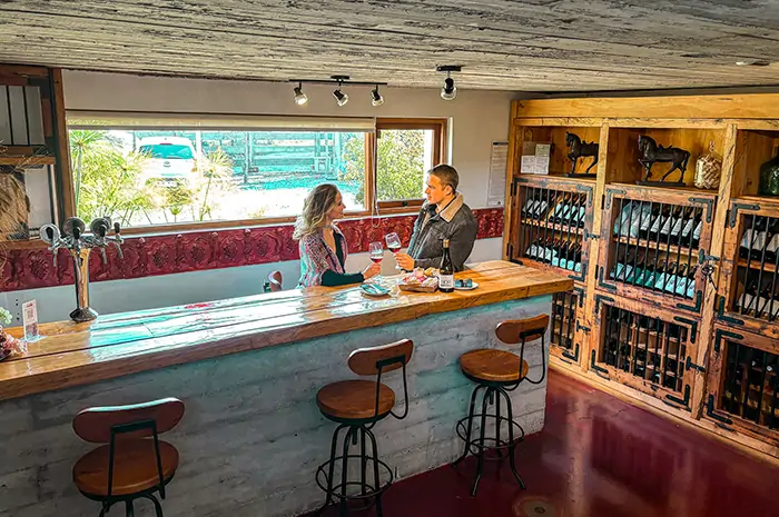 Bar interior en Hotel Santa Cruz con dos personas conversando en la barra, copas de vino, fondo con botellas y ventana con vista vegetal. Ambiente cálido y rústico. La escena transmite intimidad vinícola, estética pausada y conexión con Cava Colchagua.