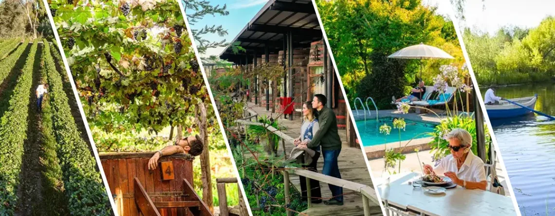 Viñedo de Cava Colchagua, hombre en hot tube bajo los viñedos, pareja mirando el viñedo desde afuera de su habitación, mujer comiendo en terraza del restaurant con vista a la piscina y hombre en un bote en la Laguna del Hotel Cava Colchagua