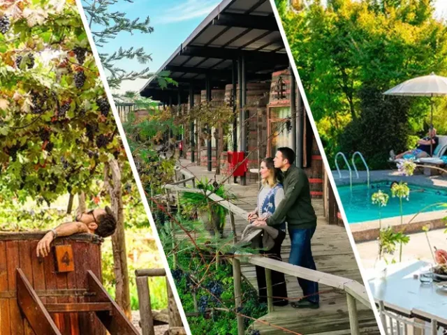 Viñedo de Cava Colchagua, hombre en hot tube bajo los viñedos, pareja mirando el viñedo desde afuera de su habitación, mujer comiendo en terraza del restaurant con vista a la piscina y hombre en un bote en la Laguna del Hotel Cava Colchagua