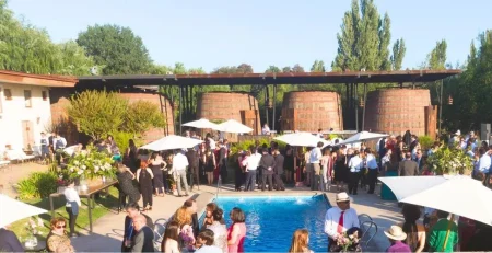 Invitados a una boda disfrutan el cóctel alrededor de la piscina del Hotel Cava Colchagua en Santa Cruz