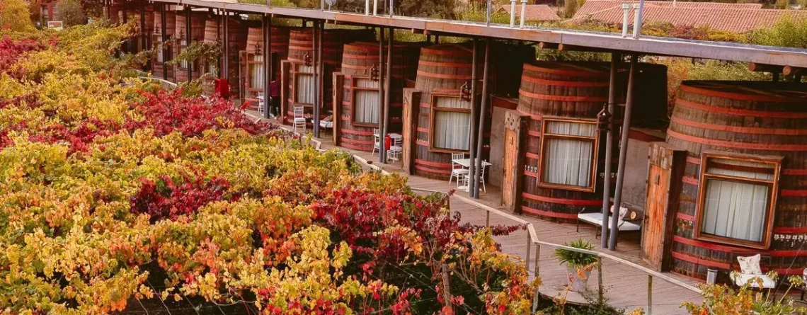 Once cavas de las 29 que son parte del Hotel Cava Colchagua, éstas tienen vista al viñedo.