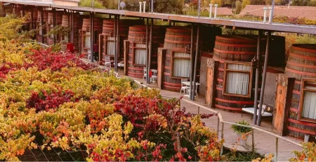 Once cavas de las 29 que son parte del Hotel Cava Colchagua, éstas tienen vista al viñedo.