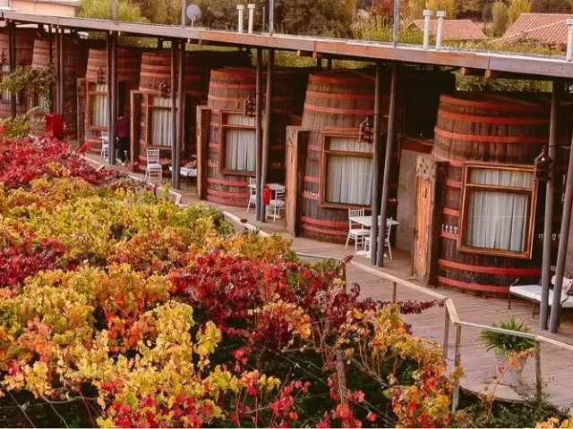 Once cavas de las 29 que son parte del Hotel Cava Colchagua, éstas tienen vista al viñedo.