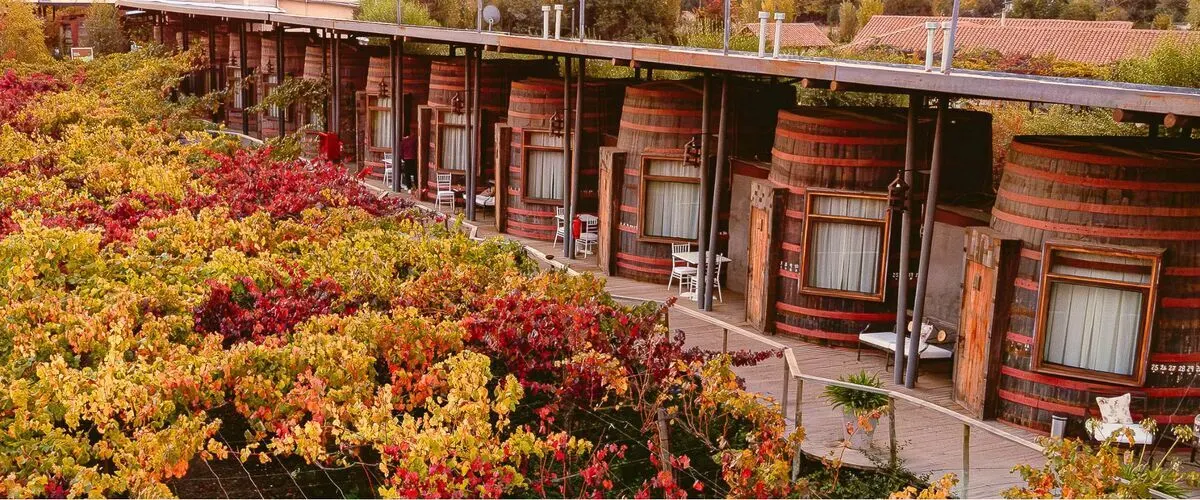 Once cavas de las 29 que son parte del Hotel Cava Colchagua, éstas tienen vista al viñedo.