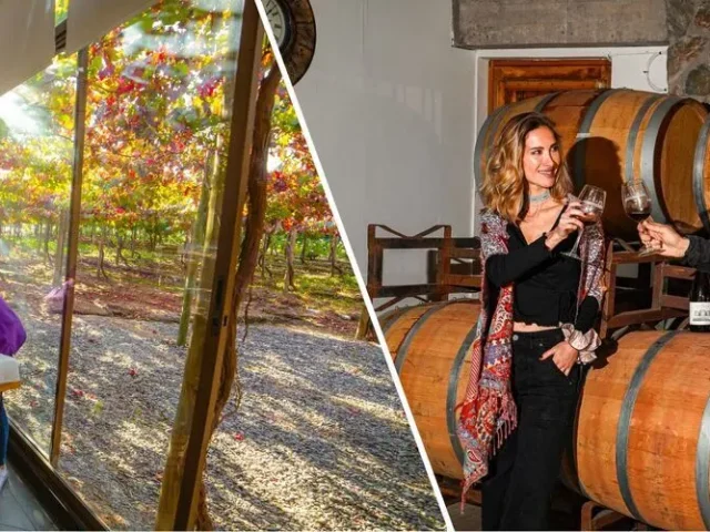 Dos imágenes de lo que puedes hacer en el Hotel Cava Colchagua en modo Slow Travel: Foto 1: masajista dando masaje en la espalda de una huésped, ambas están dentro de la sala climatizada del SPA. Foto 2: una pareja está feliz brindando con vino carmere dentro de la bodega de la Viña Cava Colchagua ubicada dentro de la propiedad.