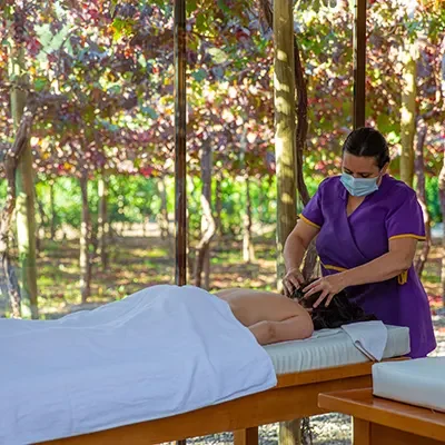 Masaje craneal al aire libre en Hotel Santa Cruz, con terapeuta en uniforme púrpura y mascarilla, bajo parras y sobre camilla blanca. La escena transmite bienestar corporal, estética vegetal y conexión con Cava Colchagua.
