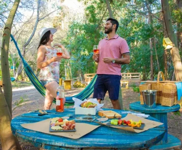 picnic2-1-1536x863-1