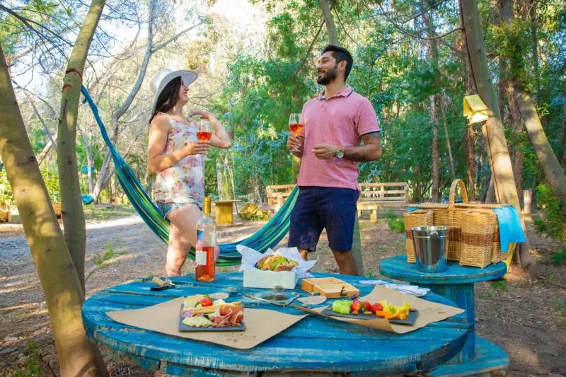 picnic2-1-1536x863-1